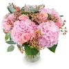 Bouquet of hydrangea